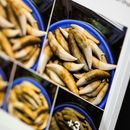 Venden en Facebook partes de animales en peligro