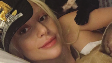 paseador de perros de gaga recibe disparo, le roban bulldogs