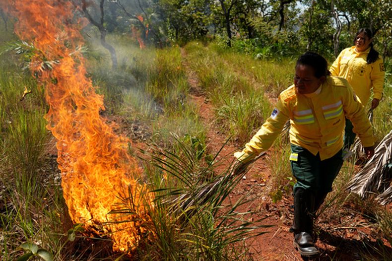 Indígenas xerente, integrantes de una brigada de bomberos formada por mujeres, encienden fuego como parte de una quema controlada con hojas secas de palma durante una operación de prevención de incendios realizada en territorio xerente junto con la Agencia Brasileña de Protección Ambiental, el martes 19 de mayo de 2026, cerca de Tocantínia, estado de Tocantins, Brasil. (AP Foto/André Penner)