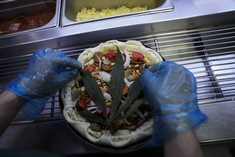 ASI-GEN TAILANDIA-CANNABIS PIZZA