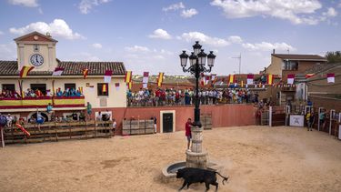 Ola de muertes en España pone fiestas taurinas bajo la lupa
