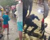 Una niña muere ahogada al desbordarse un río en el municipio Cotorro de La Habana