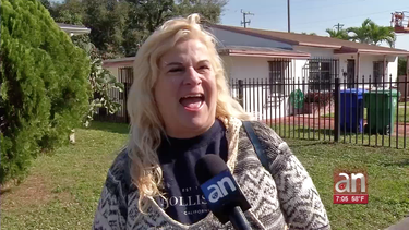 residentes de miami reaccionan a las bajas temperaturas en la ciudad del sol