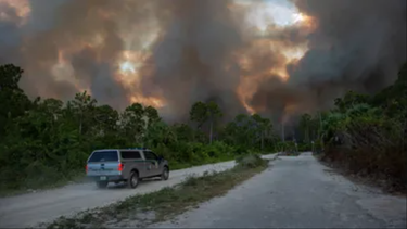 incendios de maleza obligan a cerrar autopista en naples