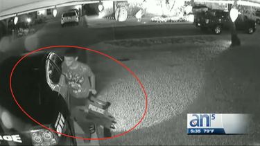 los pajaros tirandole a la escopeta: un ladron roba comodamente en un carro de policia en pembroke pines