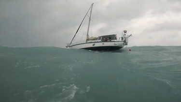 un marinero y su perro sobreviven al huracan helene: una historia de rescate en el golfo de mexico