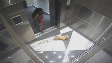 arrestan a una mujer de aventura por golpear salvajemente a un perro