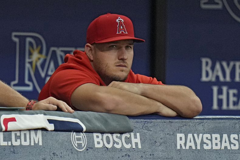 El jardinero de los Angelinos de Los Ángeles Mike Trout observa desde el banco durante el primer episodio del juego ante los Rays de Tampa Bay, en San Petersburgo, Florida. Jueves 19 de septiembre de 2023. (AP Foto/Chris OMeara)