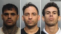 tres cubanos detenidos por robo de mil libras de aguacate de una finca de miami-dade