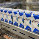 Anuncian préstamo millonario a Indulac para modernizar planta procesadora de leche