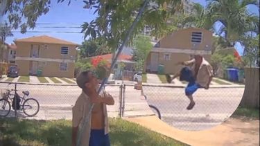 captado en camara: hombre brinca la cerca de una casa de miami para llevarse mangos de un arbol