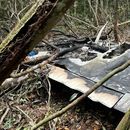 La Fuerza Aérea de Brasil derriba una avioneta que presuntamente transportaba drogas desde Venezuela