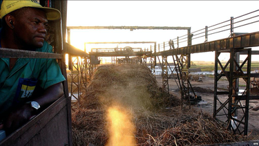 con la produccion mas baja en mas de un siglo, cuba tendra que importar azucar