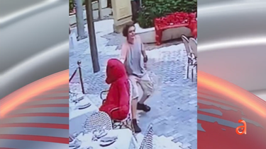 roban oso de peluche de restaurante en coral gables