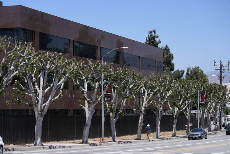 Árboles recién podados fuera de Universal Studios el miércoles 19 de julio de 2023 en Burbank, California. (Foto AP/Chris Pizzello)