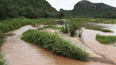 americateve | En esta fotograf&iacute;a del 14 de agosto de 2014, el contaminado r&iacute;o Sonora pasa por el pueblo de Ures, en el estado norte&ntilde;o de Sonora, M&eacute;xico. El conglomerado Grupo M&eacute;xico denunci&oacute; el jueves 21 de agosto de 2014 que e