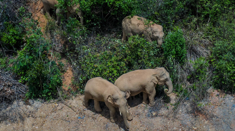 Screen Shot 2021-06-02 at 3.24.01 PM.png