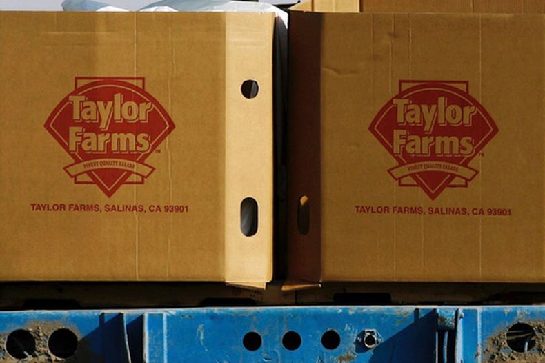 ARCHIVO – Cajas de Taylor Farms en un campo de Doctor Mora, en el estado de Guanajuato, en el centro de México, el 26 de marzo de 2008. (AP Foto/Guillermo Arias, Archivo)