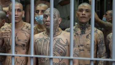Prisioneros con tatuajes de la pandilla MS-13 miran desde su celda en el Centro de Confinamiento de Terroristas en Tecoluca, El Salvador, el miércoles 26 de marzo de 2025. (AP Foto/Alex Brandon)