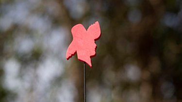 Todo un reto la dirección del PPD de cara a la reorganización política de la colectividad