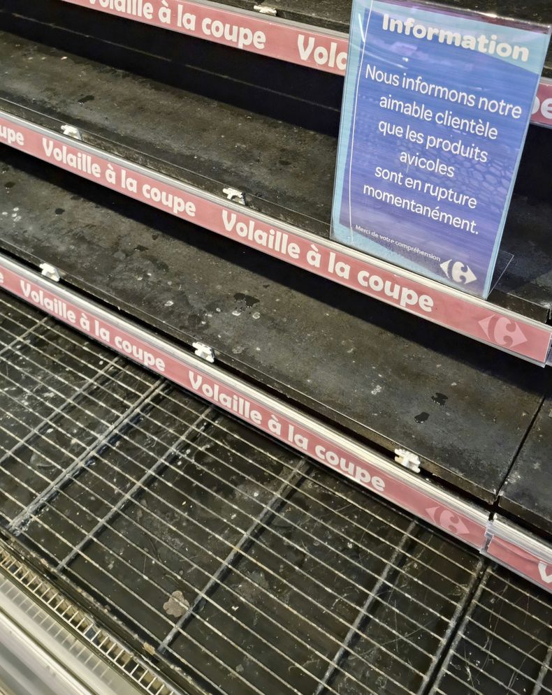 AFR-GEN TÚNEZ-CRISIS ALIMENTARIA