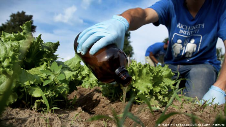 Insólita recomendación de la prensa oficialista cubana: orina humana como fertilizante Agrícola