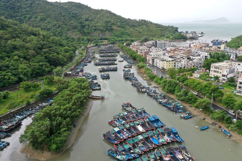 En esta imagen publicada por la agencia de noticias Xinhua, una foto de dron muestra botes de pesca refugiados antes de la llegada del tifón Noul en un puerto en la Zona Especial de Cooperación de Shenzhen-Shanwei, en la provincia sureña de Guangdong, China, el sábado 25 de julio de 2026. (Lu Hanxin/Xinhua via AP)