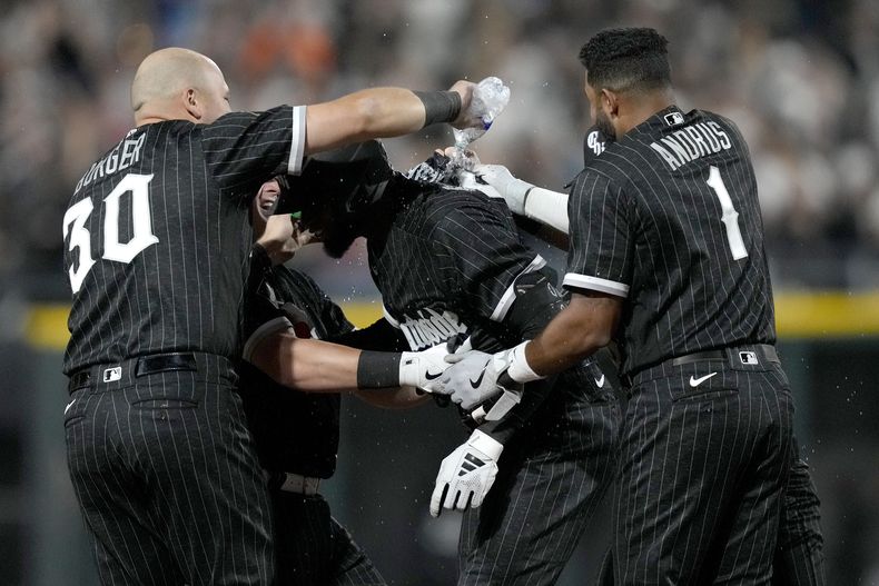 El cubano Luis Robert Jr., de los Medias Blancas de Chicago es felicitado por sus compañeros tras empujar la carrera del triunfo ante los Marlins de Miami, el viernes 9 de junio de 2023 (AP Foto/Charles Rex Arbogast)
