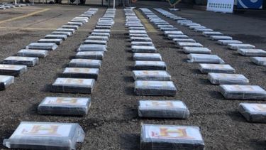 incautada media tonelada de cocaina en barcelona, venezuela
