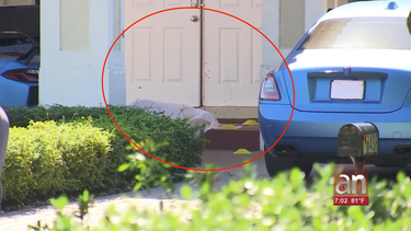hombre baleado mortalmente afuera de su casa en homestead