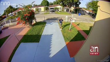 buscan a ladron de paquetes en miami y coral gables