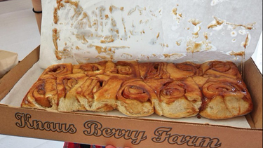 knaus berry farms reabre para una nueva temporada de rollitos de canela