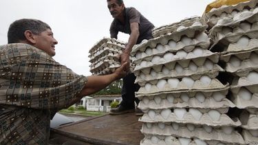 sancionados 19 trabajadores por trafico ilegal de huevos en cuba