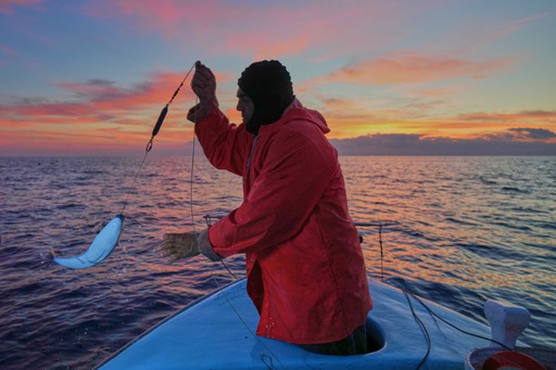 Photis Gaitanos pesca un pez sapo desde su barco frente a la costa de Larnaca, Chipre, en el Mediterráneo oriental, el 20 de diciembre de 2025. (AP Foto/Petros Karadjias)