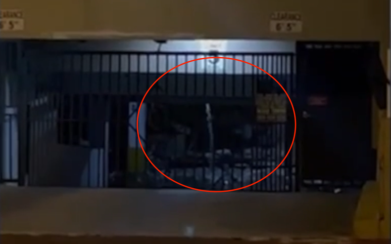 Screen Shot 2021-06-30 at 5.42.47 PM.png