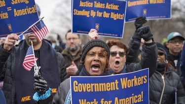 Sona Anderson de San Diego durante una protesta en apoyo a los funcionarios públicos y contra las políticas del presidente estadounidense Donald Trump y el multimillonario Elon Musk, afuera del Capitolio, en Washington, el martes 11 de febrero de 2025. (AP Foto/J. Scott Applewhite)