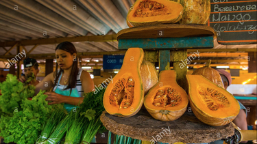 una calabaza por cdr y sembrar en macetas de las casas: otro experimento del regimen