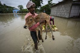 18 muertos por lluvias e inundaciones en india y bangladesh