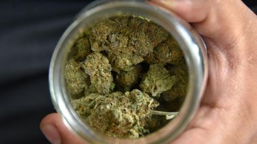 a escena en la camara proyecto que propone una consulta a la ciudadania sobre la despenalizacion de la marihuana