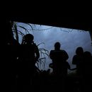 Mujeres que se encuentran sin autorización en Estados Unidos, y sus hijos, escuchan mientras Nora Sandigo les explica sus derechos legales y sus opciones para preparar a sus familias en caso de que uno de los padres sea detenido o deportado, el 17 de enero de 2025, en Homestead, Florida. (AP Foto/Rebecca Blackwell, Archivo)