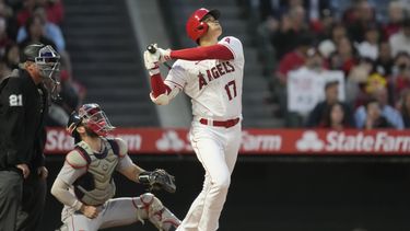 El japonés Shohei Ohtani, de los Angelinos de Los Ángeles, conecta un elevado ante los Medias Rojas de Boston, el miércoles 24 de mayo de 2023 (AP Foto/Ashley Landis)