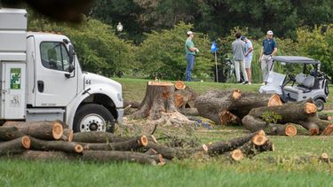 Árboles recién talados en el campo de golf East Potomac Golf Links, en Washington, el 10 de octubre del 2026. (AP foto/Nathan Howard)