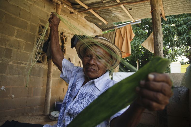 REP-GEN_PANAMA-SOMBRERO_PINTAO-0.jpg