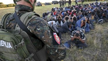 Migrantes detenidos en Serbia cerca de frontera con Hungría