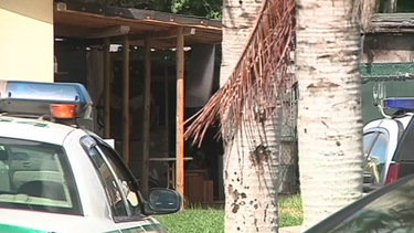 policia del condado descubre gallera y laboratorio hidroponico