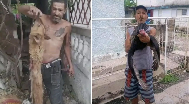 Screenshot 2023-12-27 at 11.08.26 AM.png