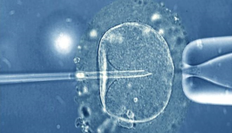 Screenshot (1283).png