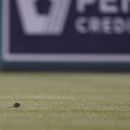 Mets vencen a Nacionales; rata aparece en Washington