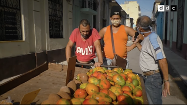 el pollo a 500 pesos: cubanos de la isla  opinan de los exorbitantes pecios tras el ordenamiento monetario