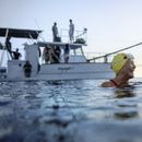 En esta imagen proporcionada por Netflix, Annette Bening como Diana Nyad en una escena de la película Nyad. (Liz Parkinson/Netflix vía AP)